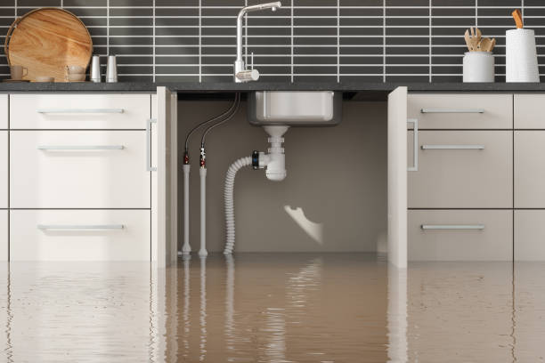 Best Water damage cleanup near me  in Pasadena, TX